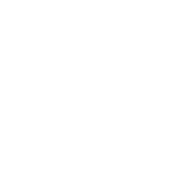 Driving school in Cecil Hills